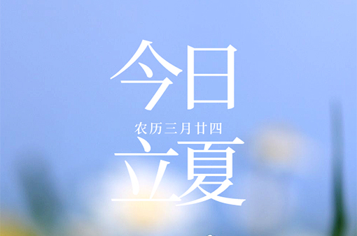 日高蟬鳴春意遠(yuǎn)，萬(wàn)物初壯始立夏-浙江元金包裝有限公司